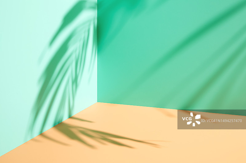 极简空薄荷绿和柔和的橙色奶油色3D房间背景。现代工作室展示，产品展示，带有自然热带棕榈树叶阴影的舞台图片素材