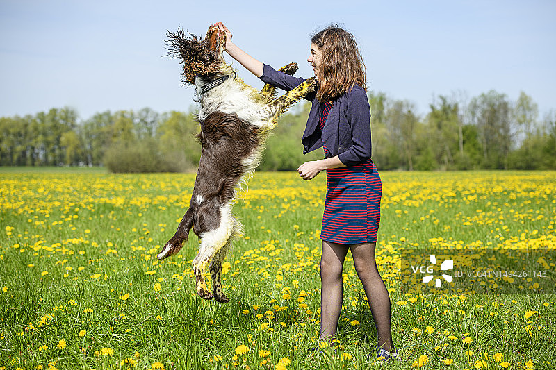 女孩在草地上训练小狗图片素材
