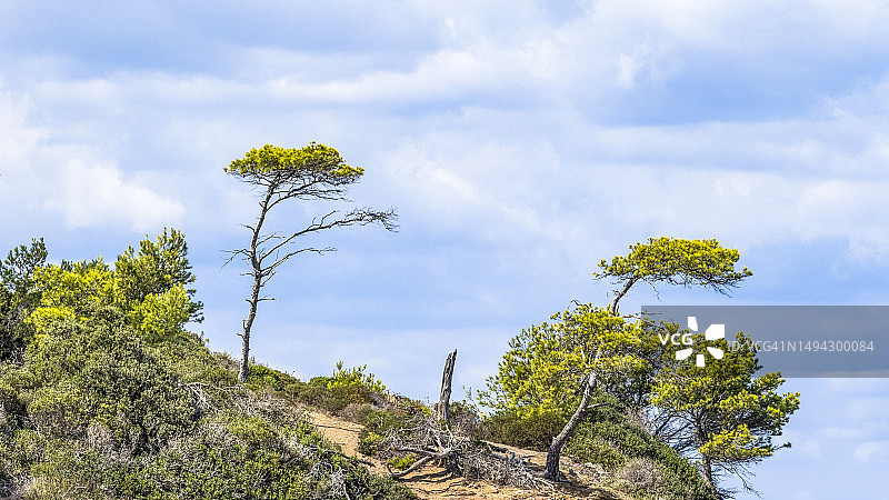 波克罗勒岛图片素材