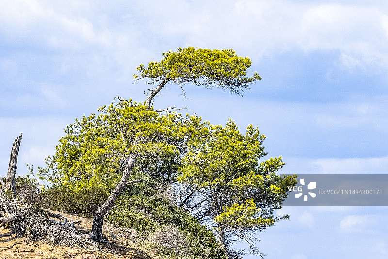 波克罗勒岛图片素材