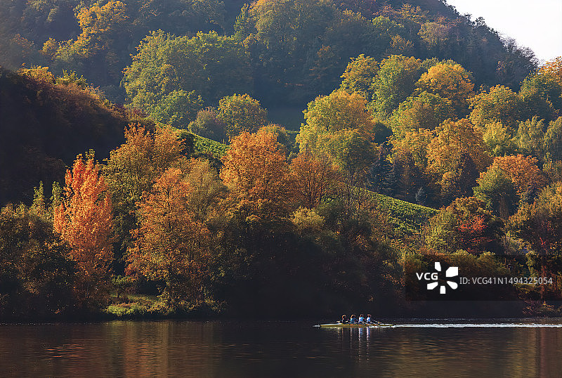 女人在摩泽尔河上划皮划艇，阳光照亮树叶，黑森林的秋色图片素材