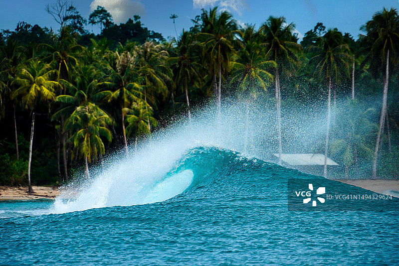 印度尼西亚西苏门答腊明打威群岛浪舌图片素材