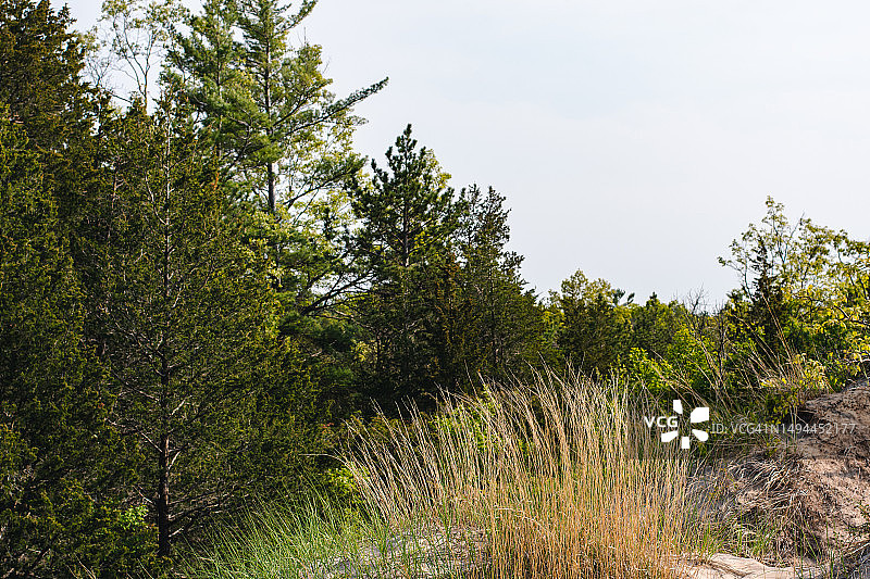 派纳里省立公园的自然风光图片素材