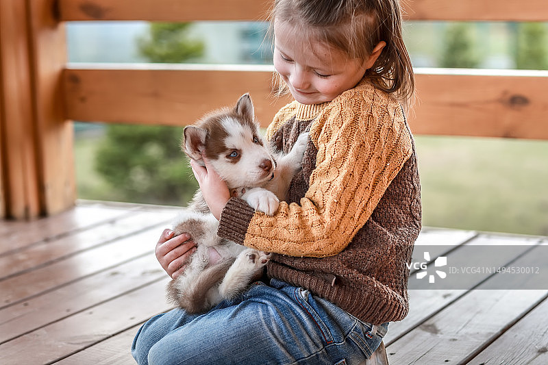 温馨的时刻：4岁女孩在阳台上拥抱可爱的哈士奇幼犬图片素材