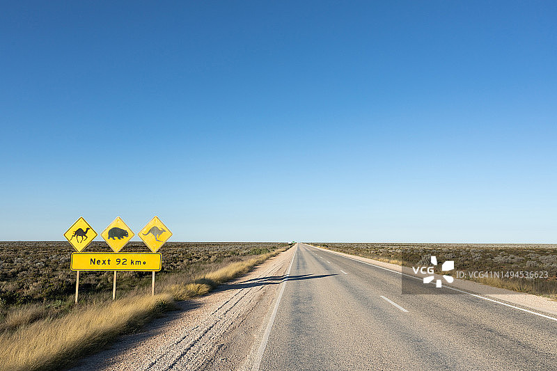 纳拉伯平原野生动物警告标志。警告驾车人士注意道路上的骆驼、袋熊和袋鼠。艾尔高速公路。南澳大利亚州。偏远平坦的景观。蓝天留白图片素材