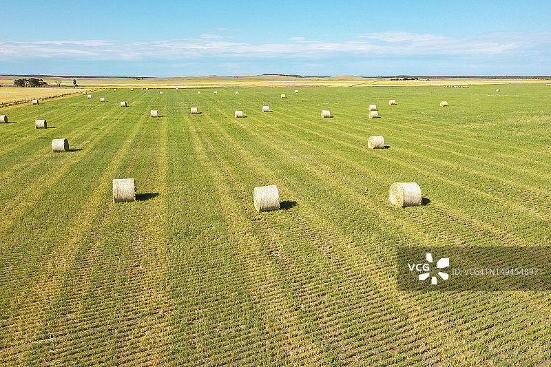 南澳大利亚梅宁吉的围场里的干草捆图片素材