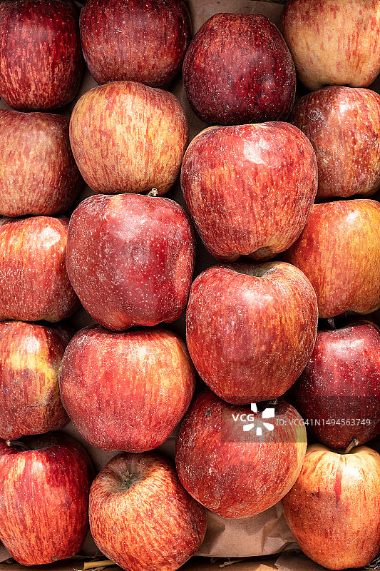 红色嘎啦苹果特写图片素材