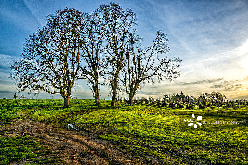 俄勒冈州克拉克默斯县的田野风光图片素材