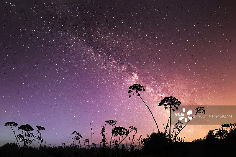 星空和银河下的田野图片素材