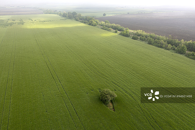 保加利亚农业田地的鸟瞰图图片素材