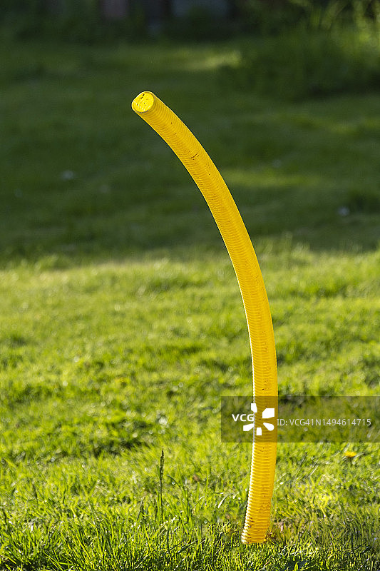 花园里的黄色管子图片素材