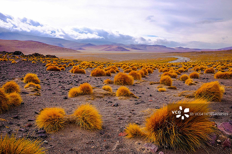山间草地图片素材