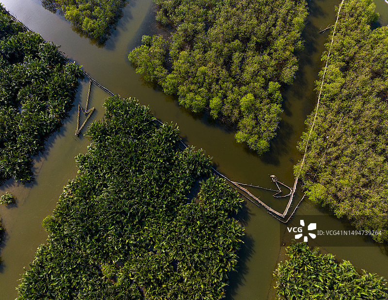 承天顺化省 Ru Cha 红树林鸟瞰抽象照片图片素材