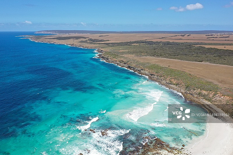 南澳大利亚艾尔半岛斯利福德湾的孤松图片素材