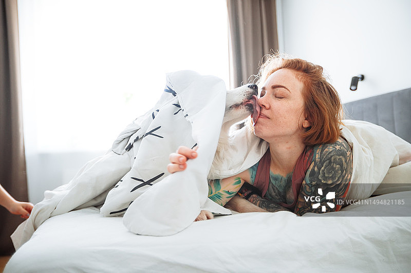 宠物爱的力量：一位红发纹身的中年妇女与她心爱的澳大利亚牧羊犬分享早晨的床，体验着深刻的爱和情感连接。图片素材