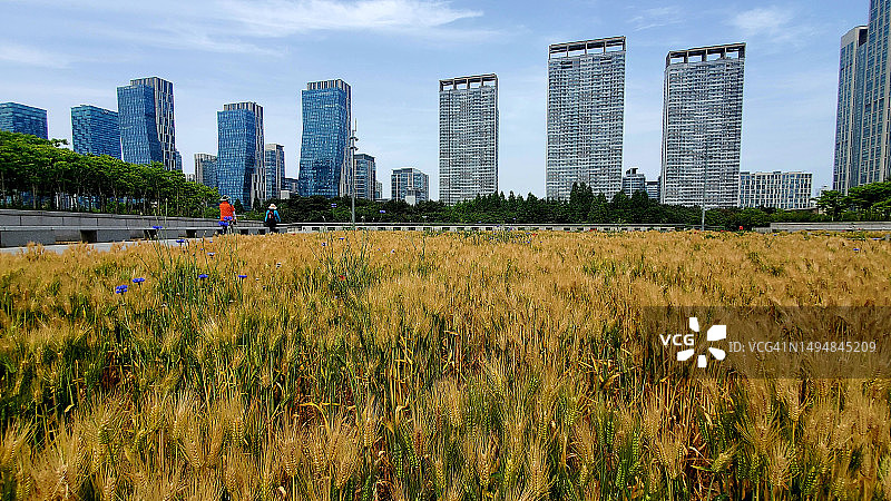 韩国松岛中央公园城市风光图片素材