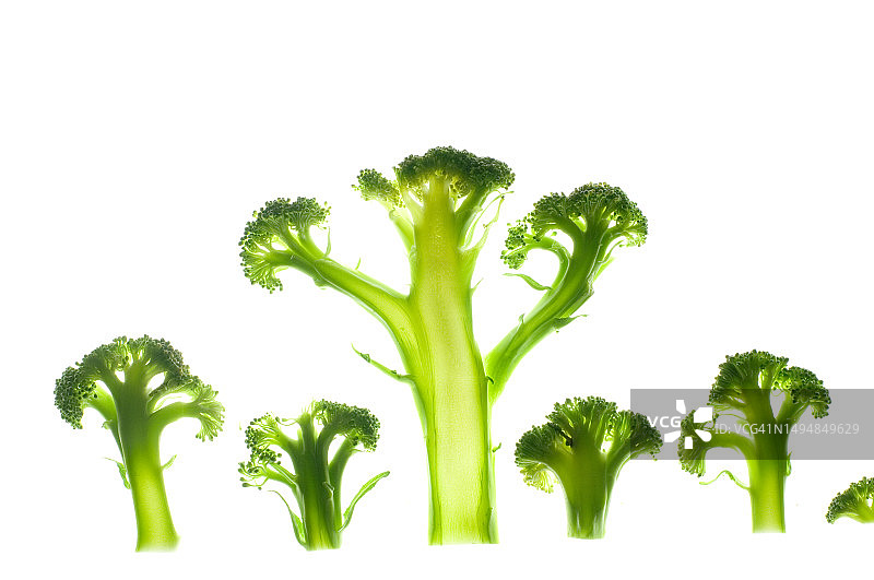 西兰花截面图片素材