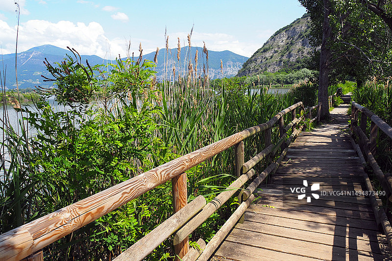 湿地自然保护区内的木制通道图片素材
