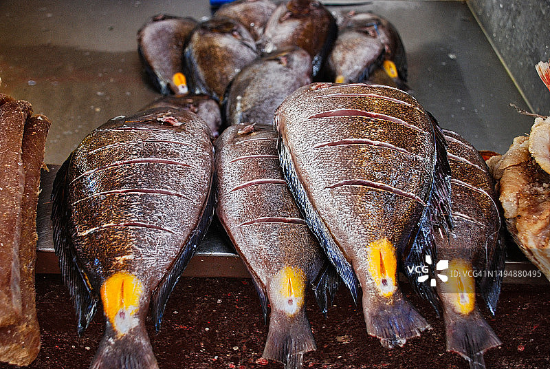 最难的部分是学习如何存在，佛得角明德卢图片素材