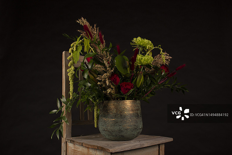 芬兰，黑色背景下桌上的盆栽特写图片素材