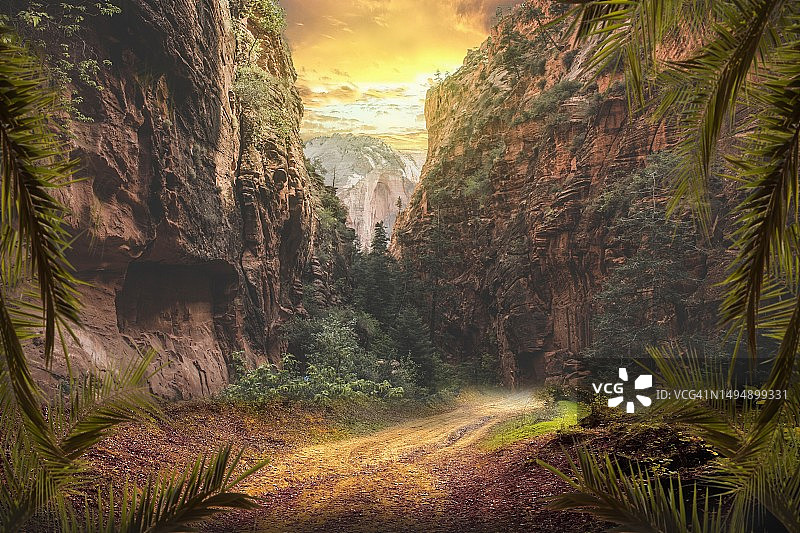 日落时分天空下的棕榈树风景图片素材