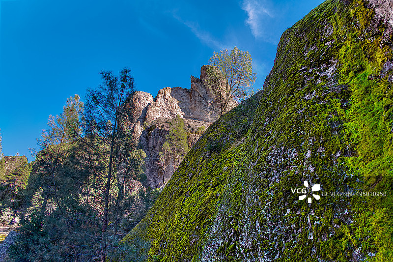 岩壁上的地衣和火山山坡的景色图片素材