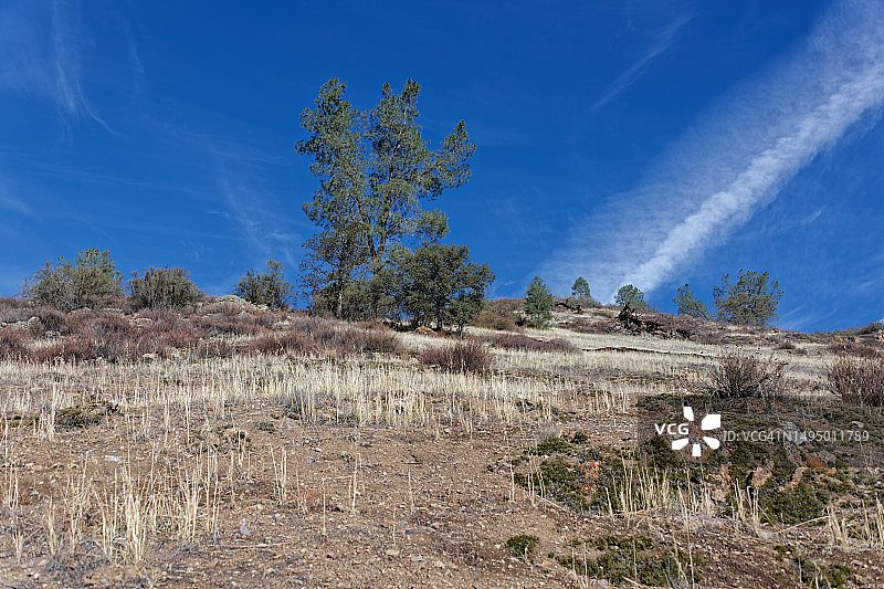 伟大的冒险从现在开始图片素材