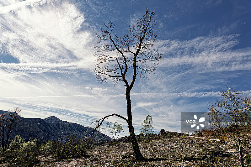 别忘了停下来享受美好图片素材