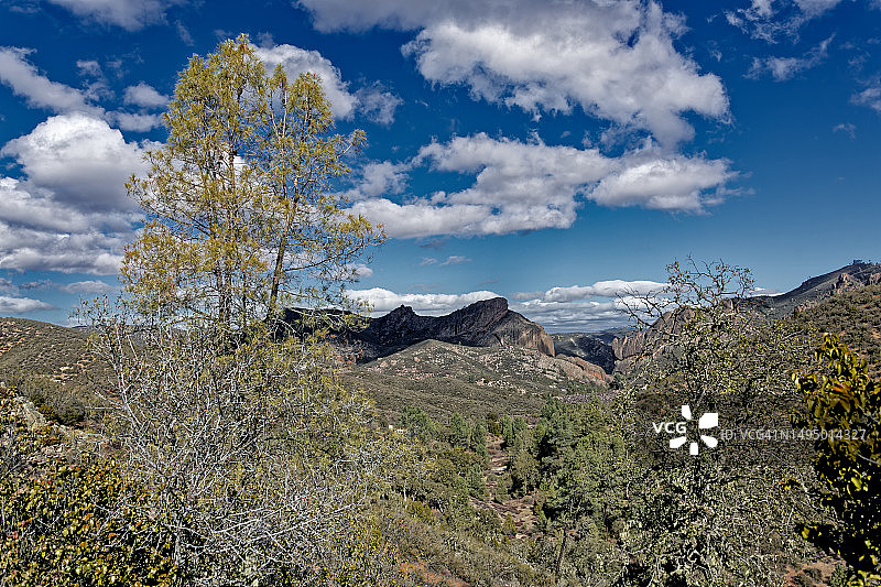 敞开心扉，发现身边的美好图片素材