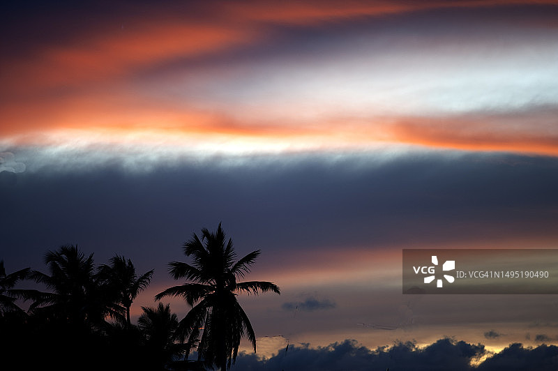 壮观的日落染红了天空，棕榈树图片素材