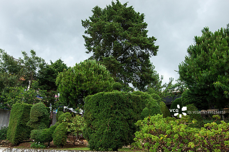 圣胡安查穆拉神圣植物植物园，圣胡安查穆拉教堂，墨西哥恰帕斯州查穆拉图片素材
