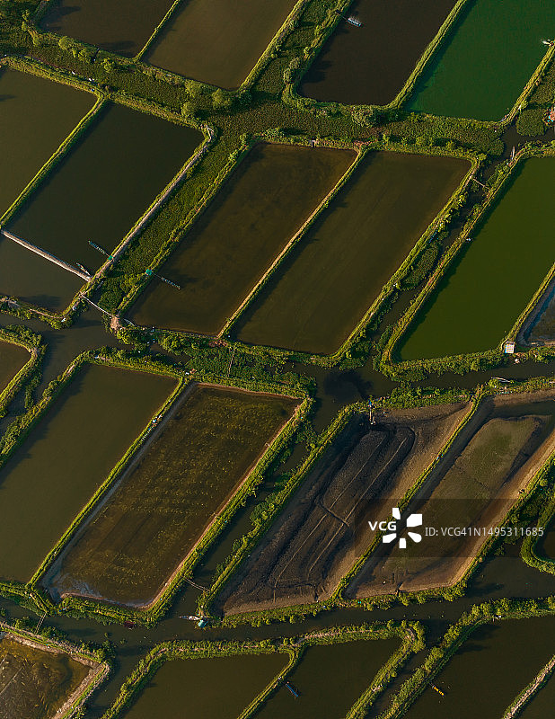 承天顺化省谭江泻湖沿岸大规模虾类养殖池塘的抽象航拍图像图片素材
