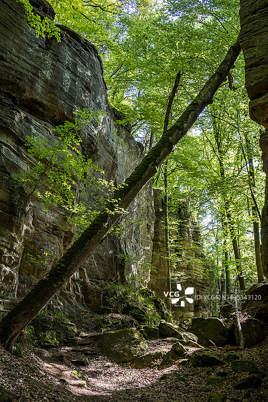 从博福特到埃希特纳赫的B1峡谷徒步图片素材
