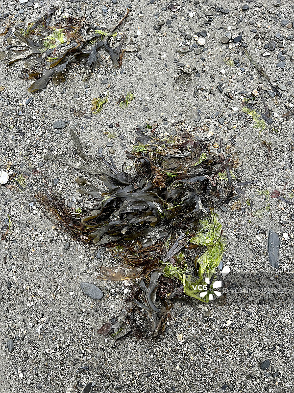 英国康沃尔郡赫尔福德河的海岸线图片素材