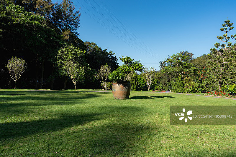 公园里的草地和盆栽树木图片素材