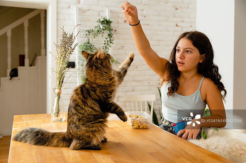 女孩给宠物喂食奖励图片素材