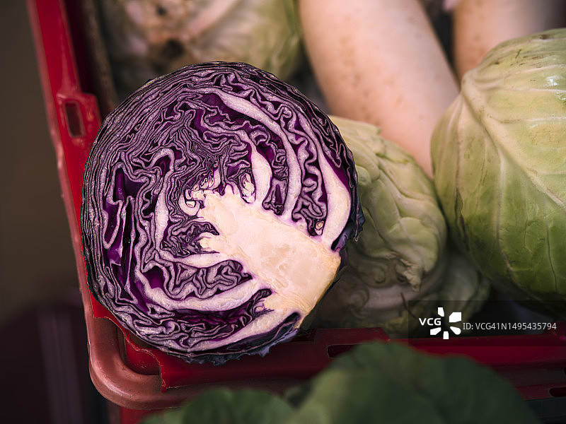 红色圆白菜特写图片素材