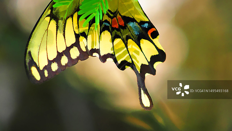 美丽的结局图片素材