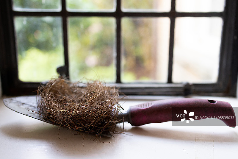泥铲与在窗台上的被救鸟巢图片素材