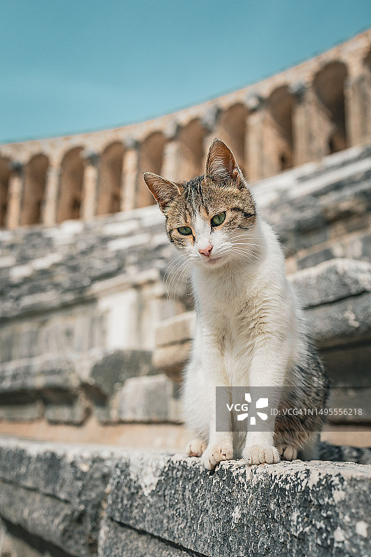 安塔利亚阿斯潘多斯古城竞技场遗址图片素材