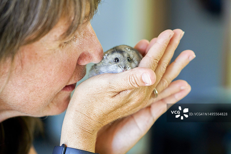 女子手捧灰色仓鼠微笑特写图片素材