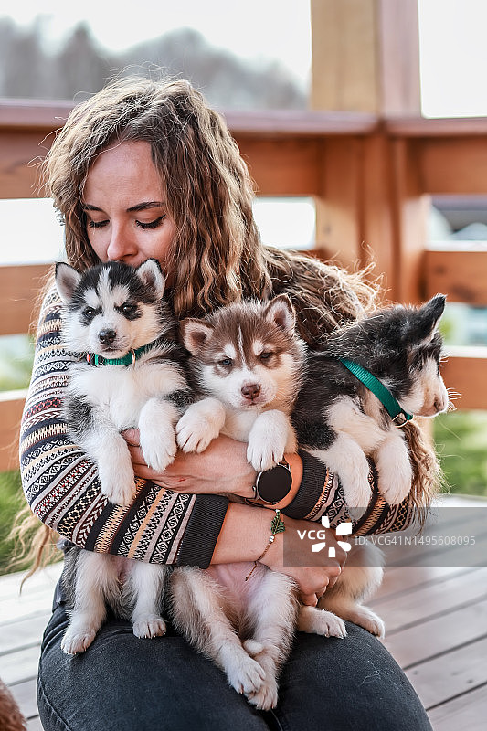 爱意满满：女子怀抱、亲吻三只可爱的哈士奇幼犬图片素材