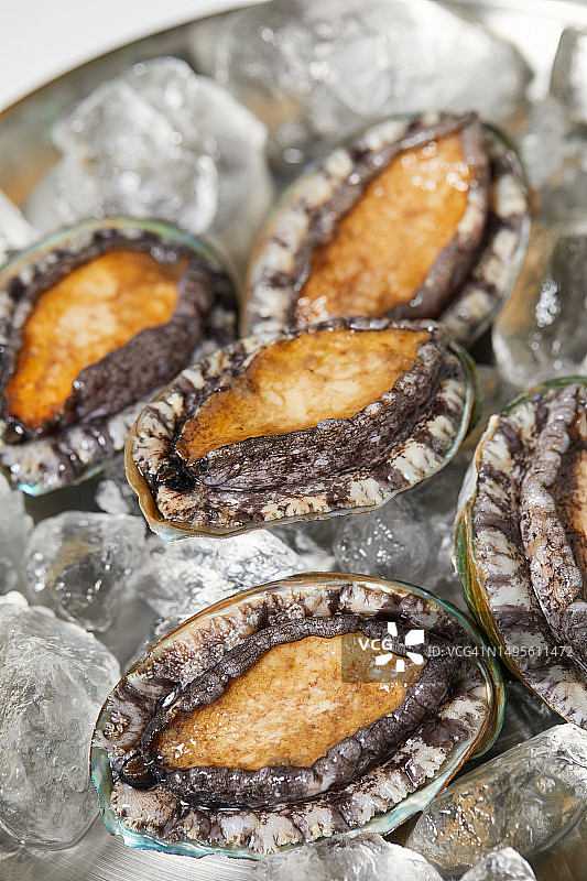 鲍鱼食材海鲜，新鲜时令美食图片素材