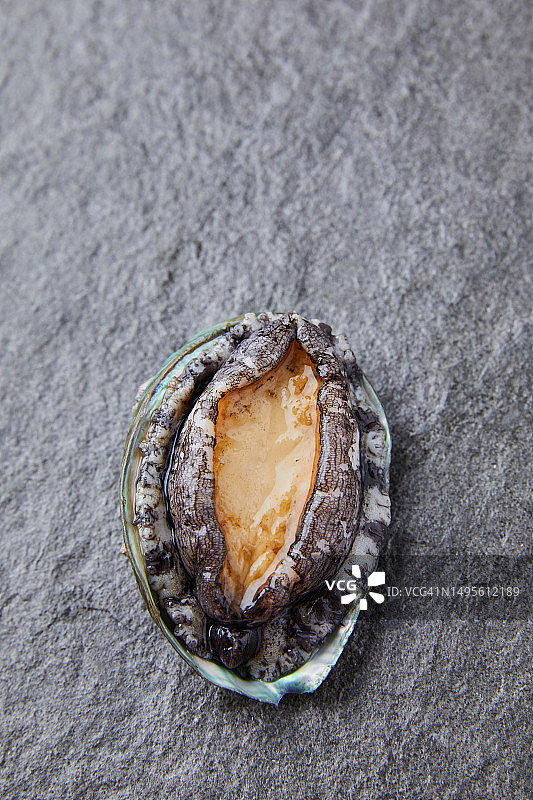 鲍鱼食材图片素材