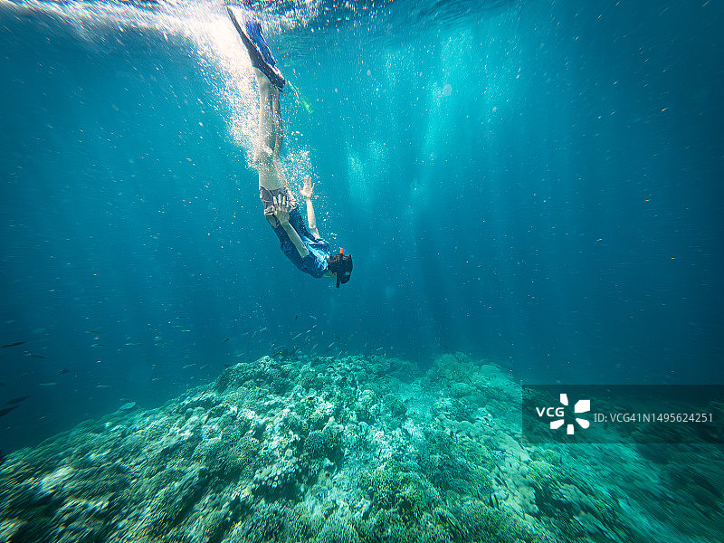 青年男子在珊瑚礁潜水图片素材