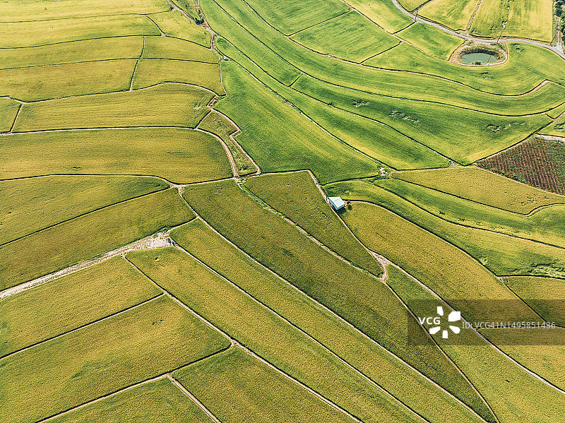 中国台湾稻田景观航拍图片素材