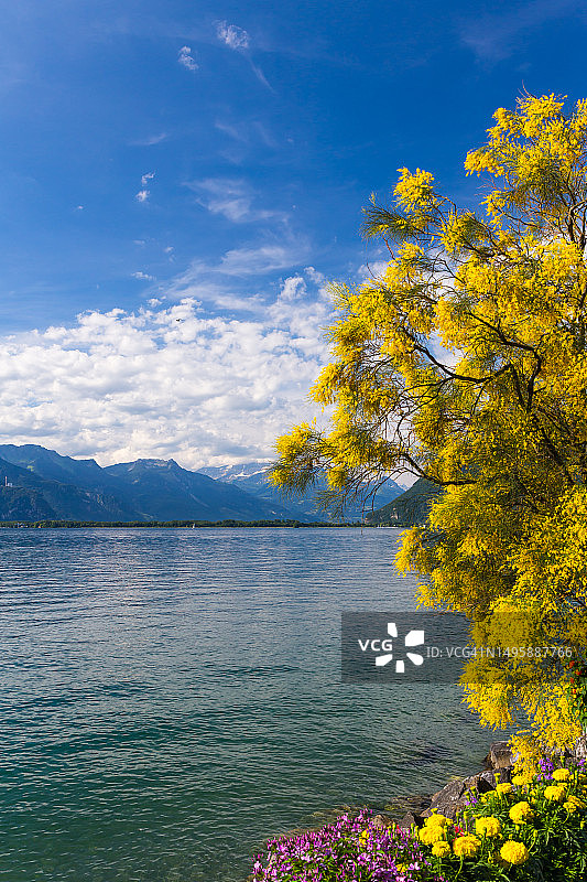 山脉与日内瓦湖风光图片素材