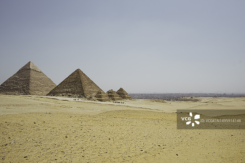 埃及开罗：游客骑骆驼与吉萨金字塔图片素材