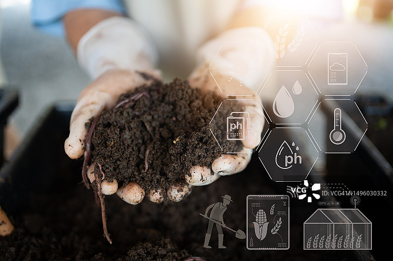 用蚯蚓给蚯蚓施肥图片素材