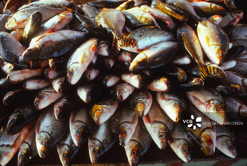 刚刚捕获的大文件图片素材